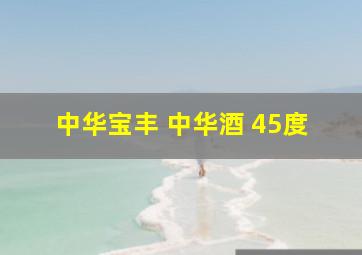 中华宝丰 中华酒 45度